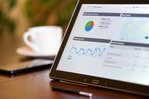 website Audit